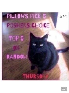 Closing in 70 min 🐈‍⬛Pillows pick 5